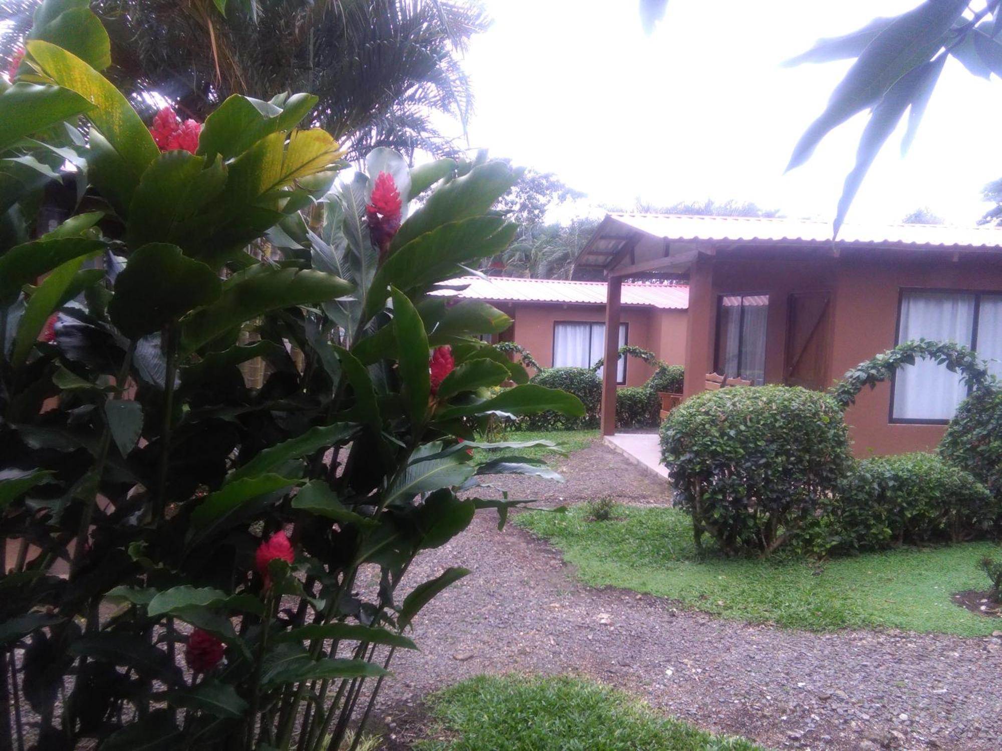 Slow Travel Lodge Upala Exterior photo